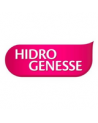 HIDROGENESSE